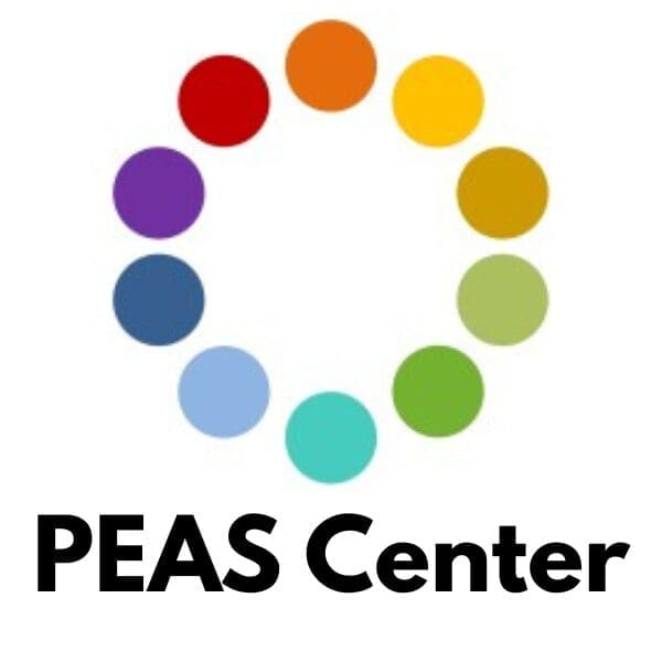 PEAS Center Logo Sage Analysis Group SDS Logo System Dynamics Society Sponsor